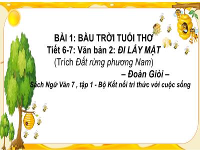 Bài giảng Ngữ văn 7 (Kết nối tri thức với cuộc sống) - Bài 1: Bầu trời tuổi thơ - Tiết 6+7: Văn bản 2: Đi lấy mật (Trích Đất rừng phương Nam - Đoàn Giỏi) - Nguyễn Thị Hồng
